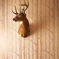Cole & Son Woods
