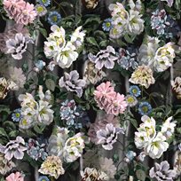 Designers Guild Delft flower Grande Graphite Tapet