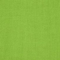 Designers Guild Brera Lino Grass