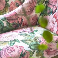 John Derian The Rose