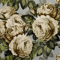 John Derian The Rose