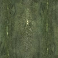 Jean Paul Gaultier Précieux Vert