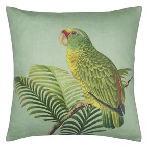 John Derian Parrot And Palm Kudde