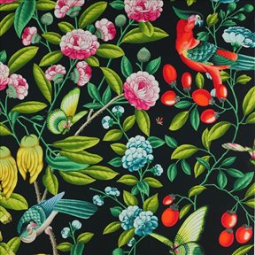 Manuel Canovas Serendip