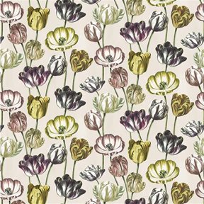 John Derian Variegated Tulips Buttermilk Tyg