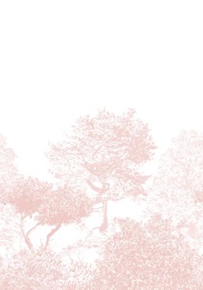 Sian Zeng Hua Trees Mural Pink Tapet