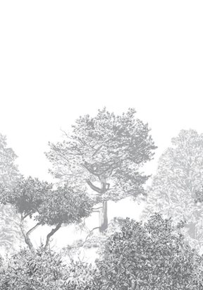 Sian Zeng Hua Trees Mural Grey