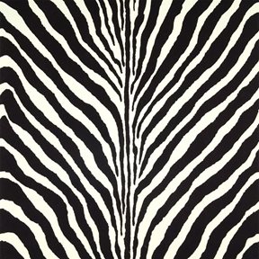 Ralph Lauren Bartlett Zebra Charcoal Tapet