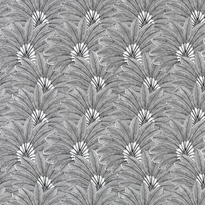 Nobilis Brazilia