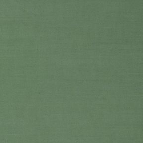 William Morris & co Ruskin Evergreen