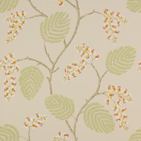 Colefax & Fowler Atwood