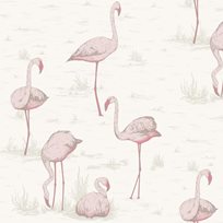 Cole & Son Flamingos