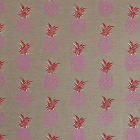 Barneby Gates Pineapples