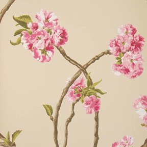 Nina Campbell Orchard Blossom Tapet