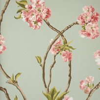 Nina Campbell Orchard Blossom Tapet