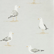 Sanderson Shore Birds