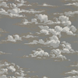 Sanderson Silvi Clouds - Taupe Grey Tapet
