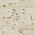 Ralph Lauren Captains Log