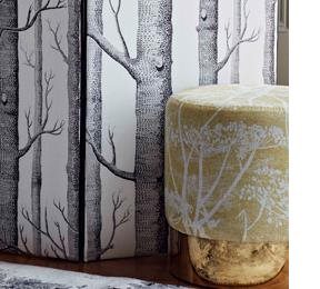 Cole & Son Cow Parsley, White & Chartreuse