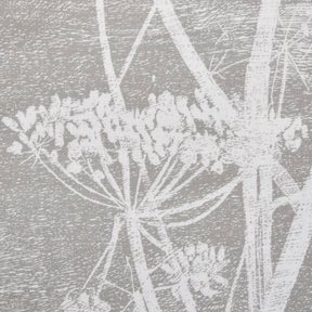 Cole & Son Cow Parsley, White & Taupe Tyg