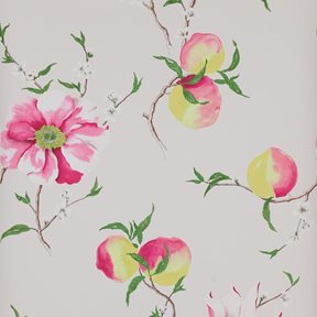 Manuel Canovas Guermantes