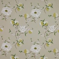Manuel Canovas Guermantes