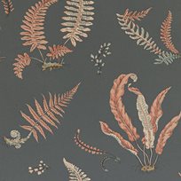 Baker Ferns, Coral /Charcoal Tapet