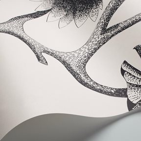 Cole & Son Lily
