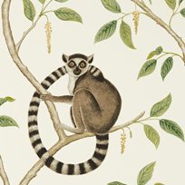 Sanderson Ringtailed Lemur Tapet