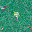 Nobilis Amazone