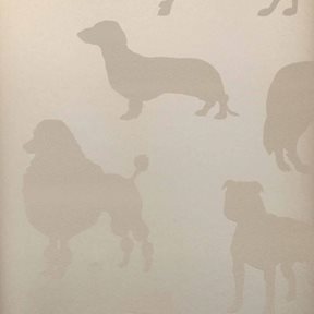Osborne & Little Best in Show