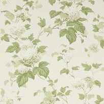 Colefax and Fowler Chantilly Tapet