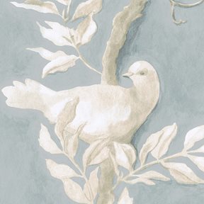 Lewis & Wood Doves, Rock Dove