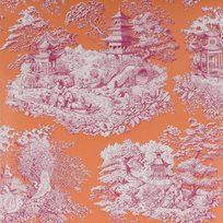 Manuel Canovas Nara Abricot
