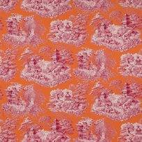 Manuel Canovas Nara Abricot