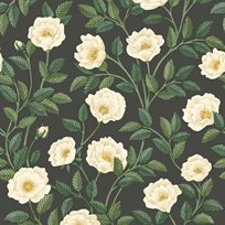 Cole & Son Hampton Roses