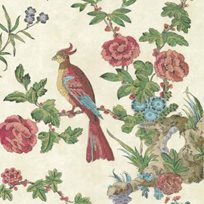 Little Greene Darwin