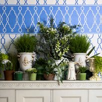 Cole & Son Parterre Border