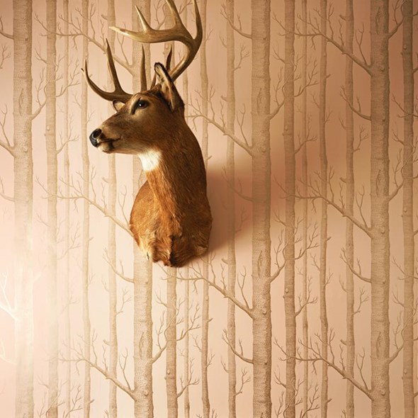 Cole & Son Woods