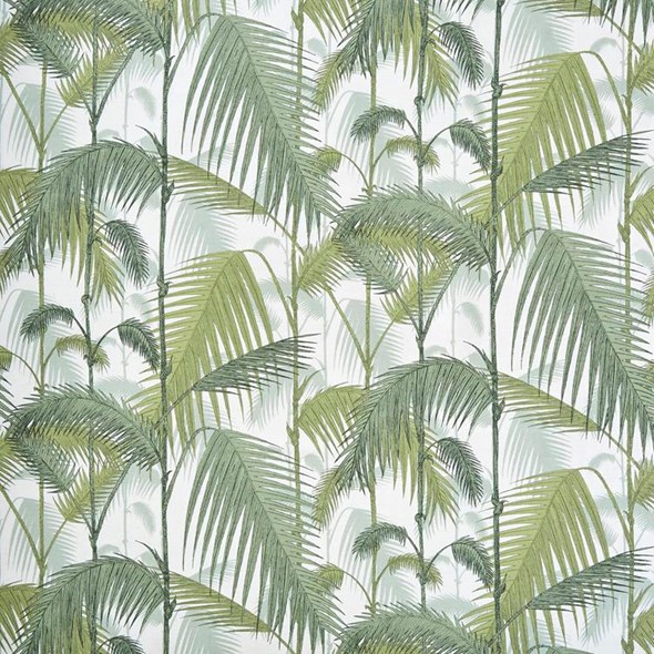 Cole & Son Palm Jungle, Olive Green on White