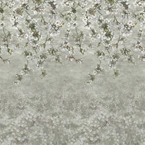Designers Guild Assam Blossom Platinum Tapet