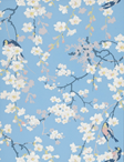 Little Greene Massingberd Blossom, Pale Blue Tapet
