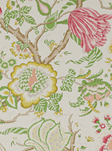 Manuel Canovas Brahmane