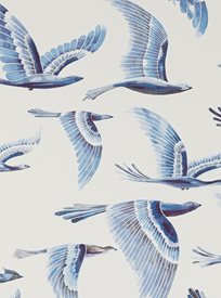 Manuel Canovas Hydra