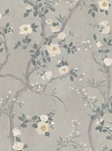 Hamilton Weston Camellia, Dove