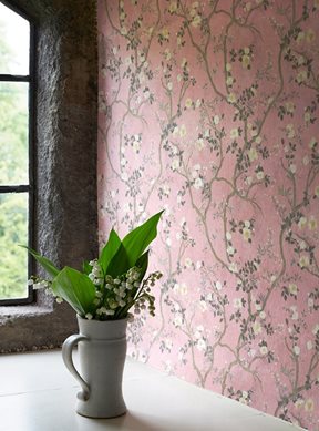 Hamilton Weston Camellia, Dusky Pink