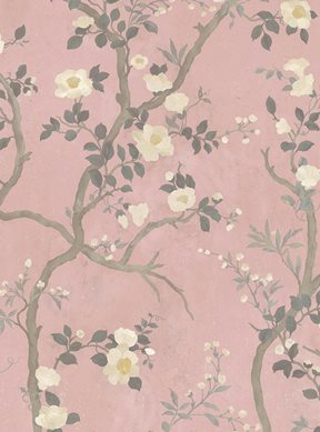 Hamilton Weston Camellia, Dusky Pink Tapet