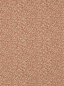 Manuel Canovas Apolline Corail