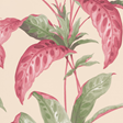 Paint & Paper Library Tropicane, Rhubarb