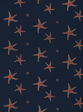 Barneby Gates Starfish Navy/Sienne Tapet